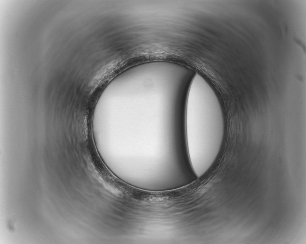 X0000100210638200805300726