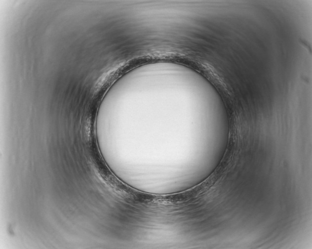 X0000100210640200805300726
