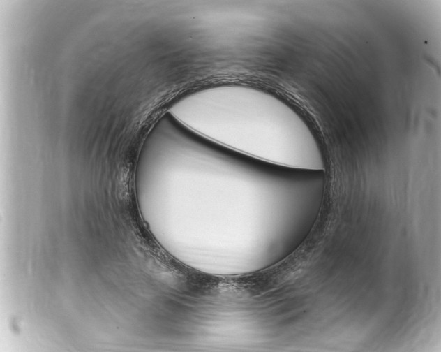 X0000100210641200805300726
