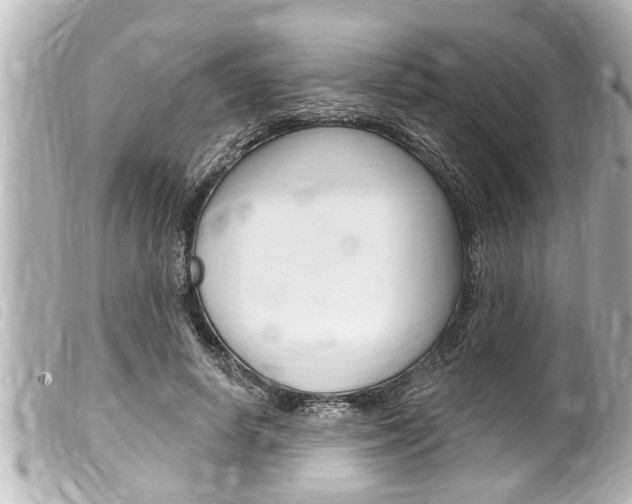 X0000100210642200805300726