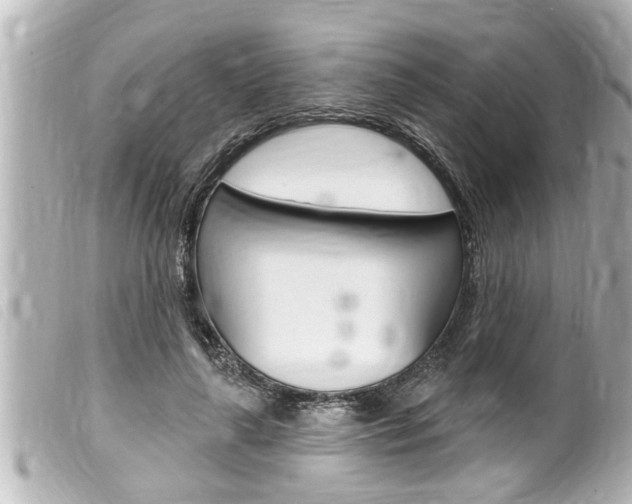 X0000100210643200805300726