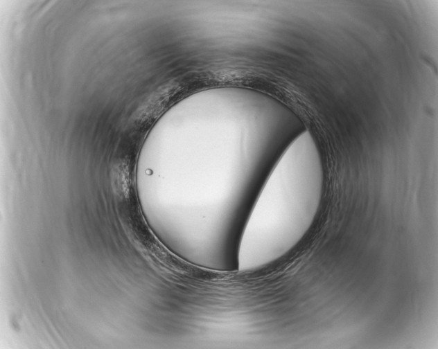 X0000100210644200805300726