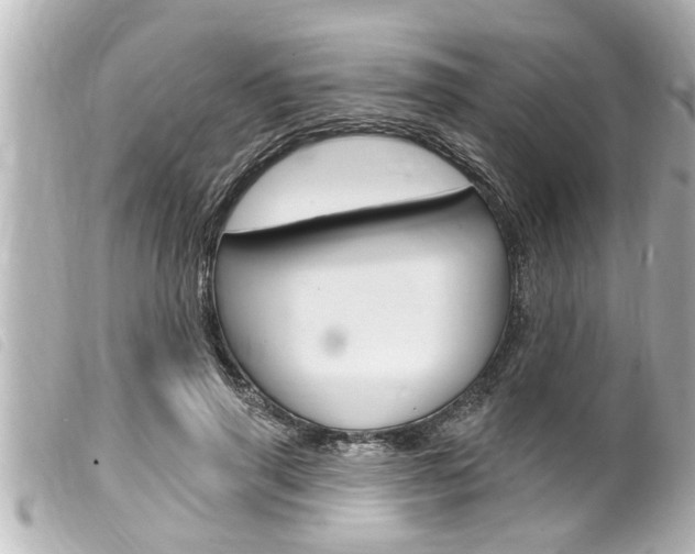 X0000100210645200805300726