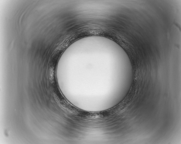X0000100210646200805300726