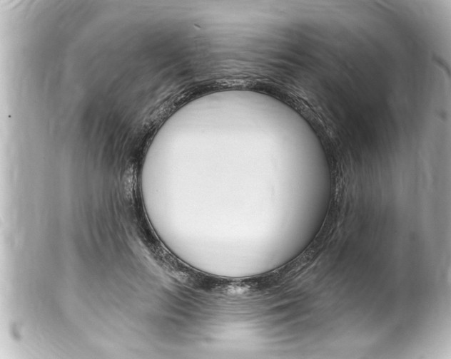 X0000100210647200805300726