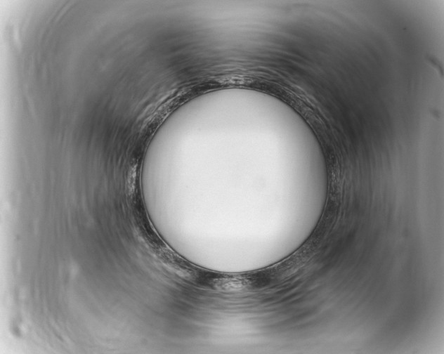 X0000100210652200805300726