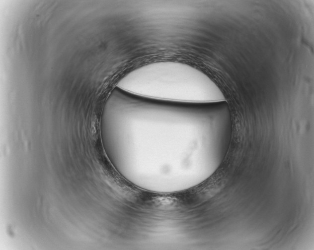 X0000100210654200805300726