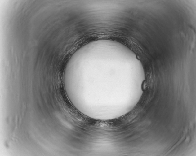 X0000100210655200805300726