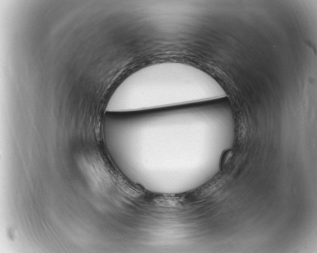 X0000100210661200805300727
