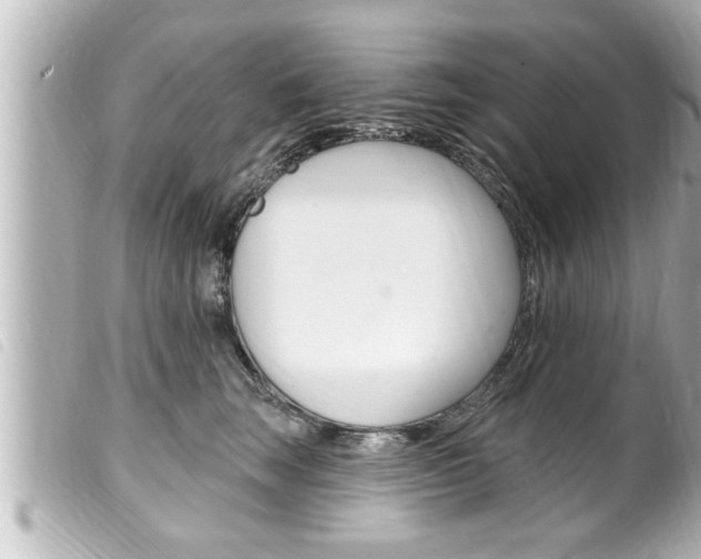 X0000100210663200805300727