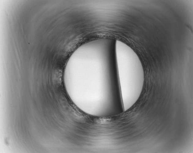 X0000100210664200805300727