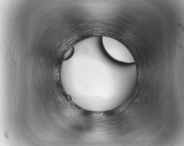 X0000100210666200805300727