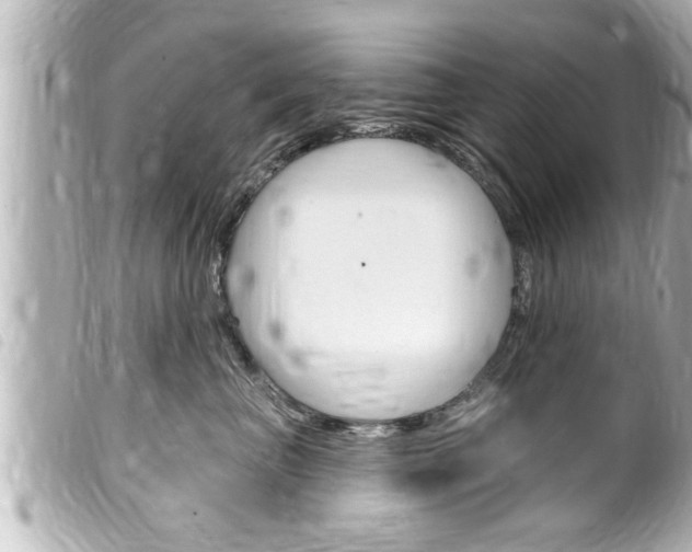 X0000100210667200805300727