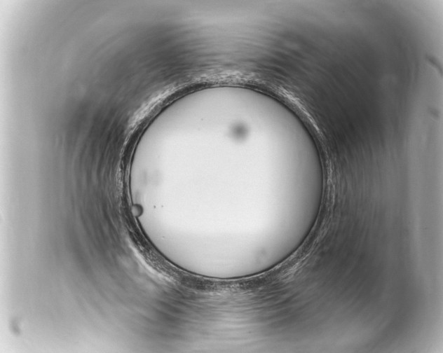 X0000100210674200805300726