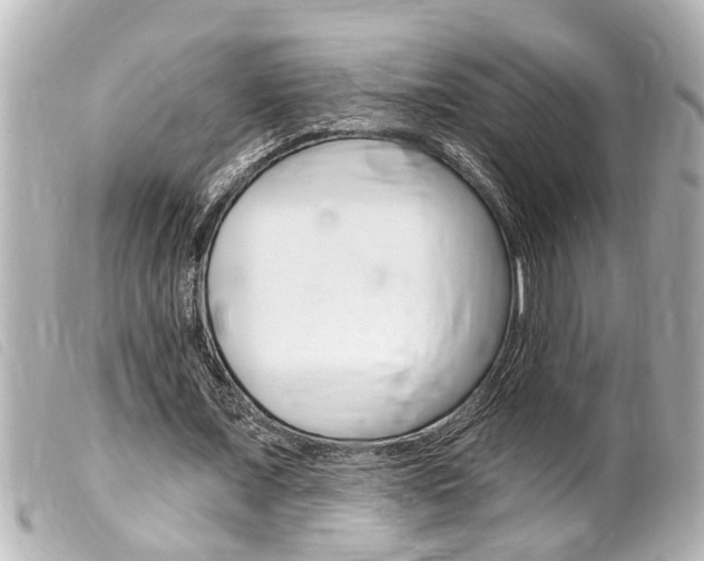 X0000100210675200805300726