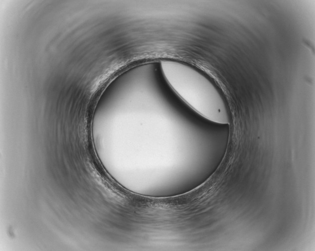 X0000100210677200805300726