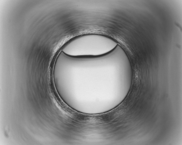 X0000100210678200805300726