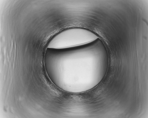 X0000100210681200805300726