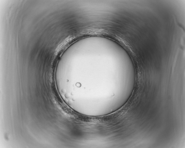 X0000100210682200805300726