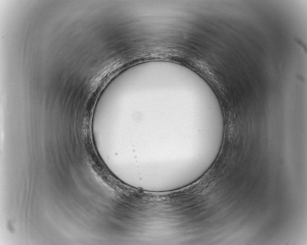 X0000100210683200805300726