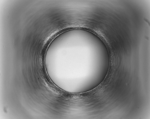 X0000100210684200805300726