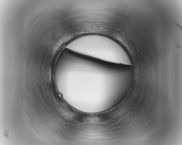 X0000100210685200805300726