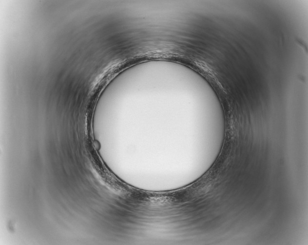 X0000100210686200805300726