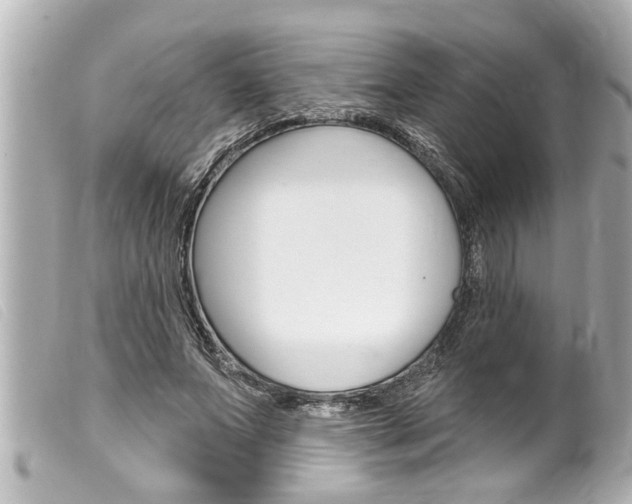 X0000100210687200805300726