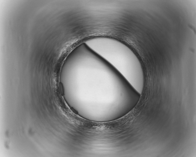 X0000100210688200805300726