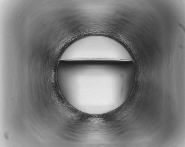 X0000100210689200805300726