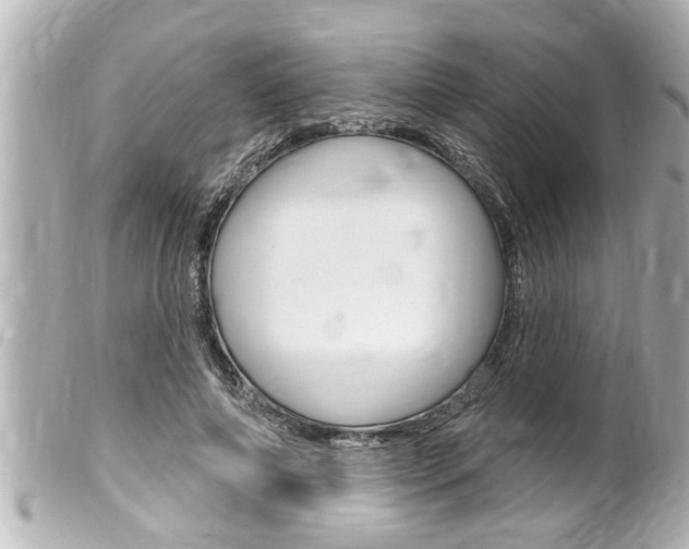 X0000100210690200805300726