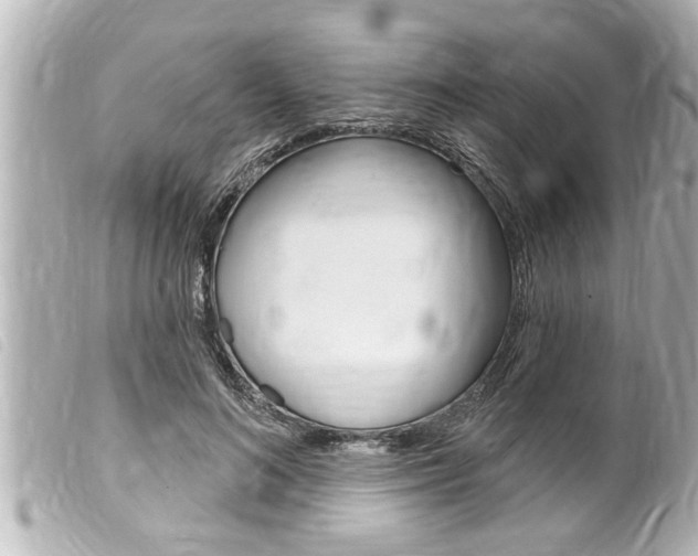 X0000100210692200805300726