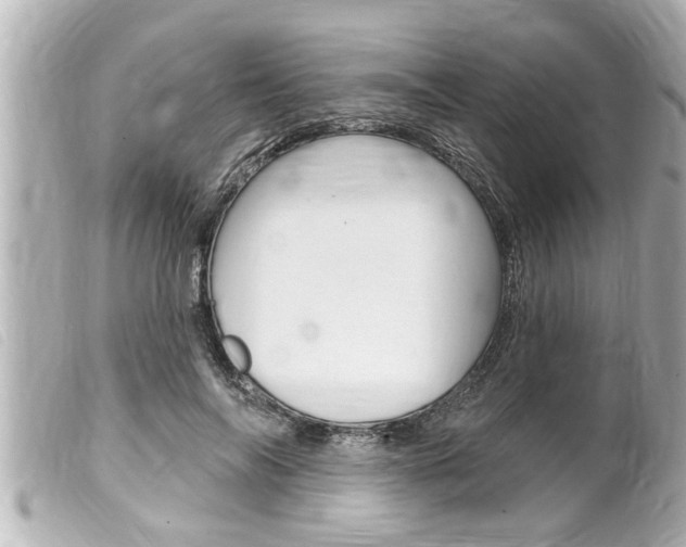 X0000100210694200805300726