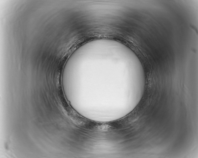 X0000100210695200805300726