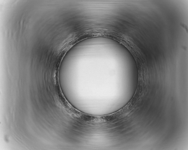 X0000100210696200805300726