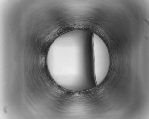 X0000100210697200805300726