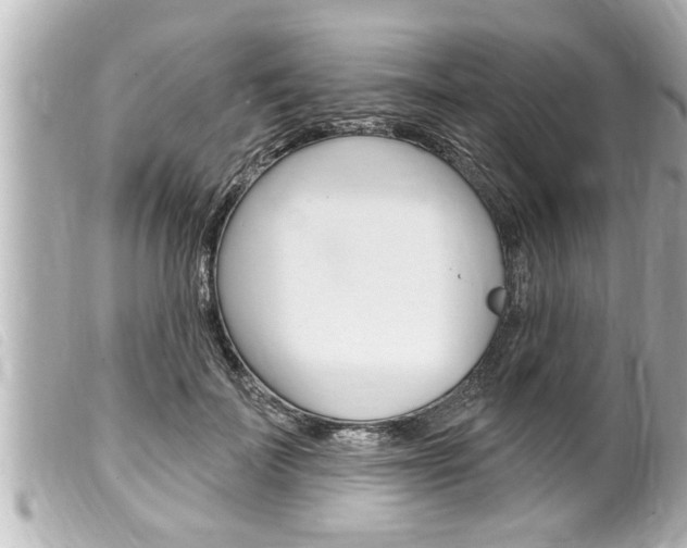 X0000100210699200805300726