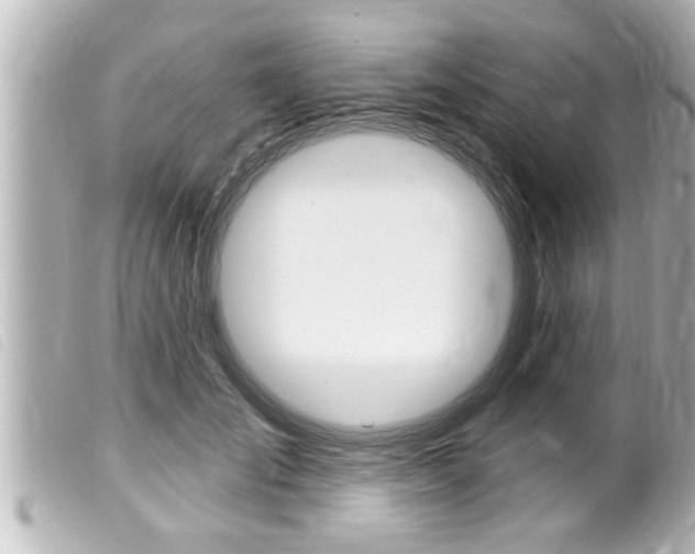 X0000100210701200805300726