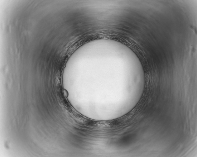 X0000100210702200805300726
