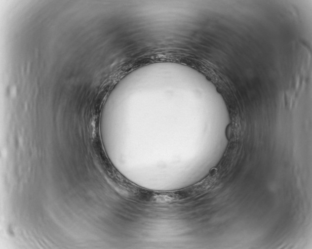 X0000100210703200805300726