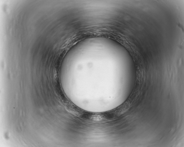 X0000100210704200805300726