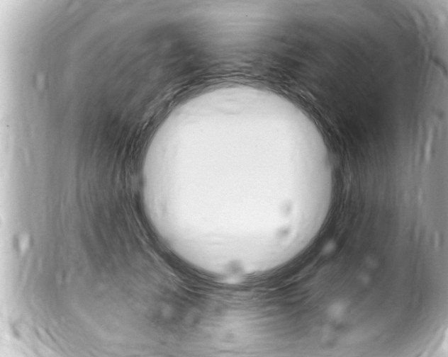 X0000100210705200805300726