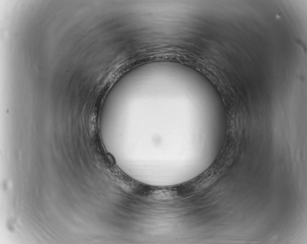 X0000100210708200805300726