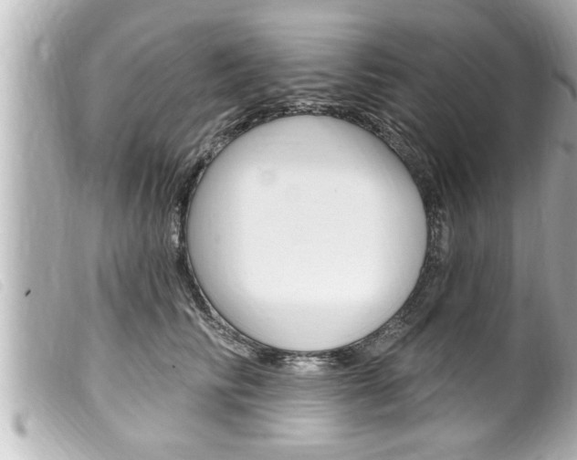 X0000100210710200805300726