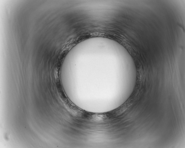 X0000100210711200805300726