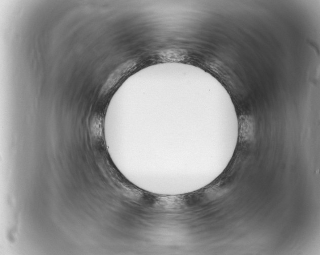 X0000100210713200805300725