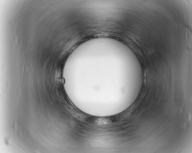 X0000100210714200805300725