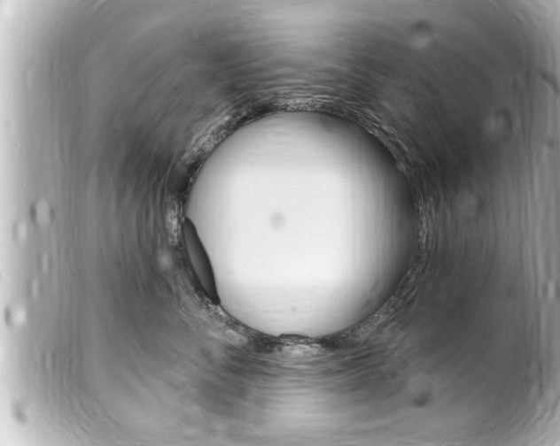 X0000100210716200805300725