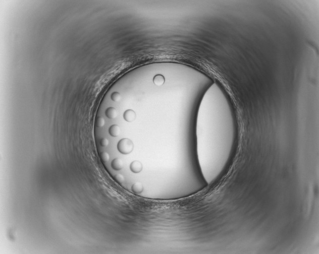 X0000100210721200805300725