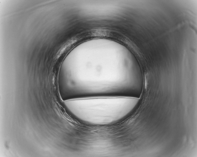 X0000100210723200805300725